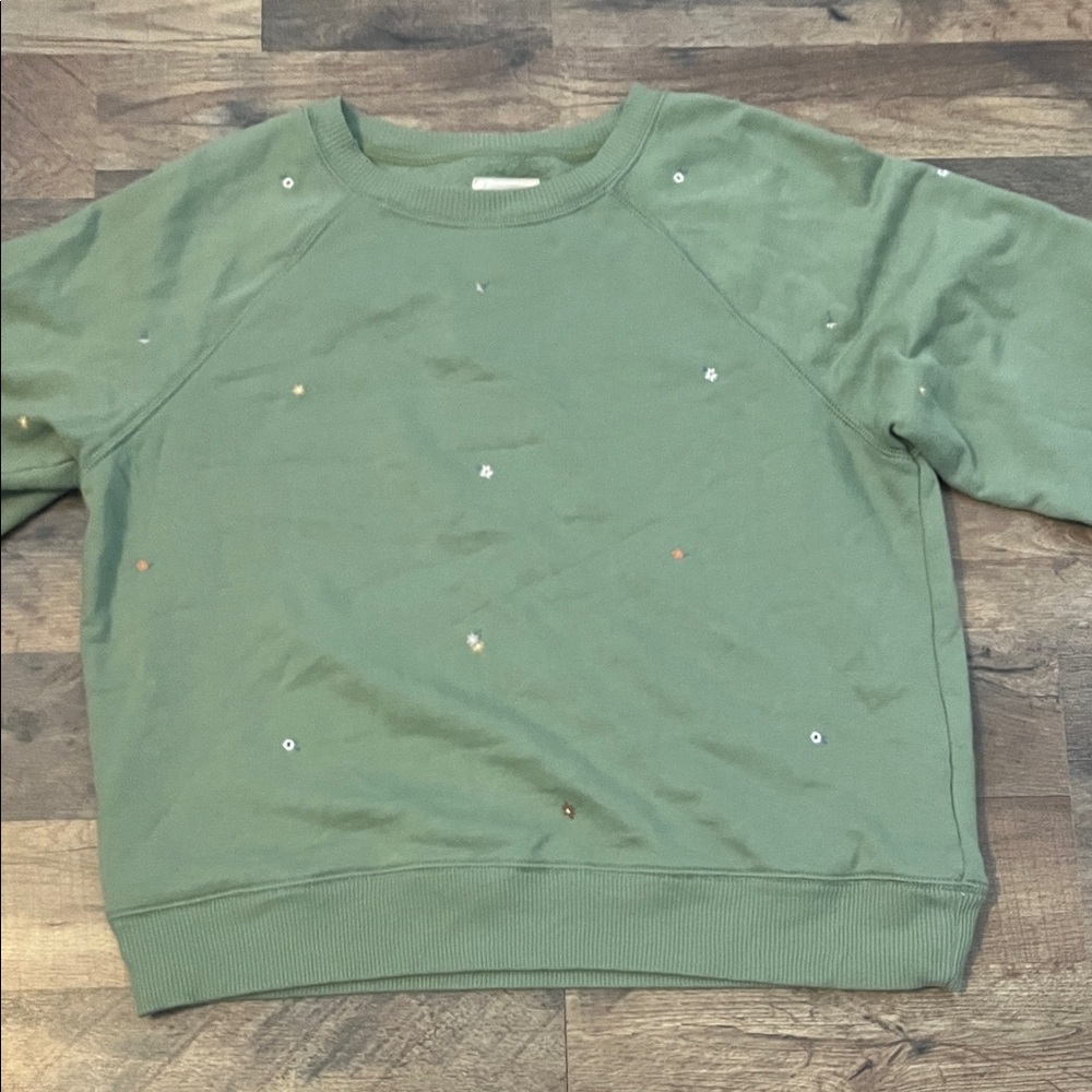 American Eagle Outfitters Sage Green Sweatshirt